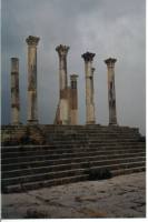 9 Volubilis.jpg